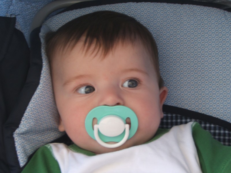 Palo Alto-Gal 6.2005 500.jpg